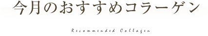 今月のおすすめコラーゲン