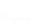 pagetop